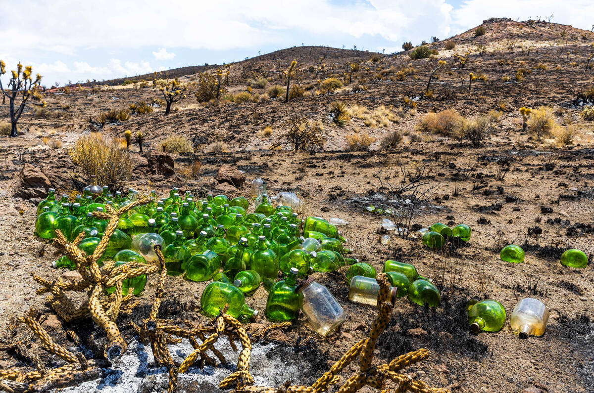 The 93,000-acre York Fire burn area is of special concern as storms from a tropical storm may h ...