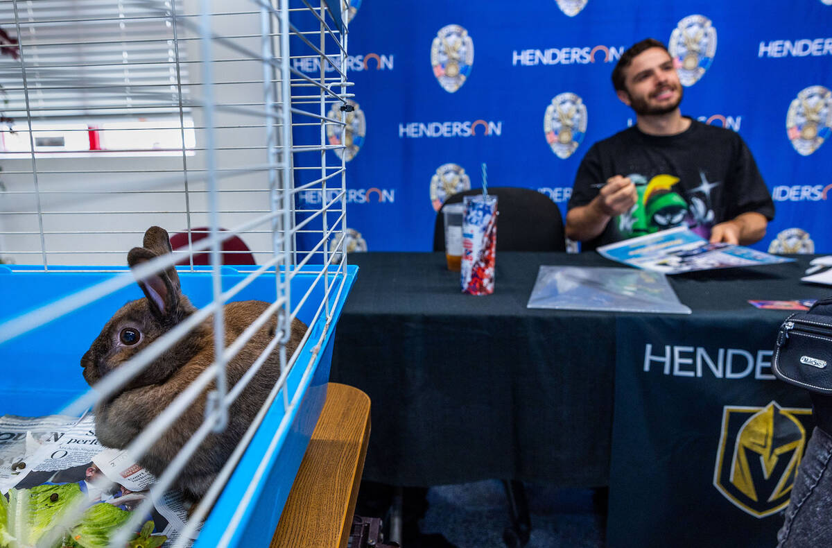 Athena the bunny relaxes in her cage as Golden Knights forward Gage Quinney has a meet and gree ...