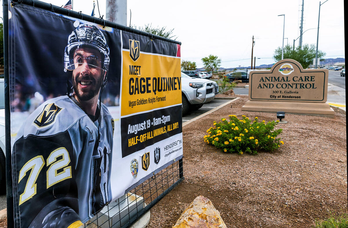 Golden Knights forward Gage Quinney is on hand for a meet and greet with fans at the Henderson ...