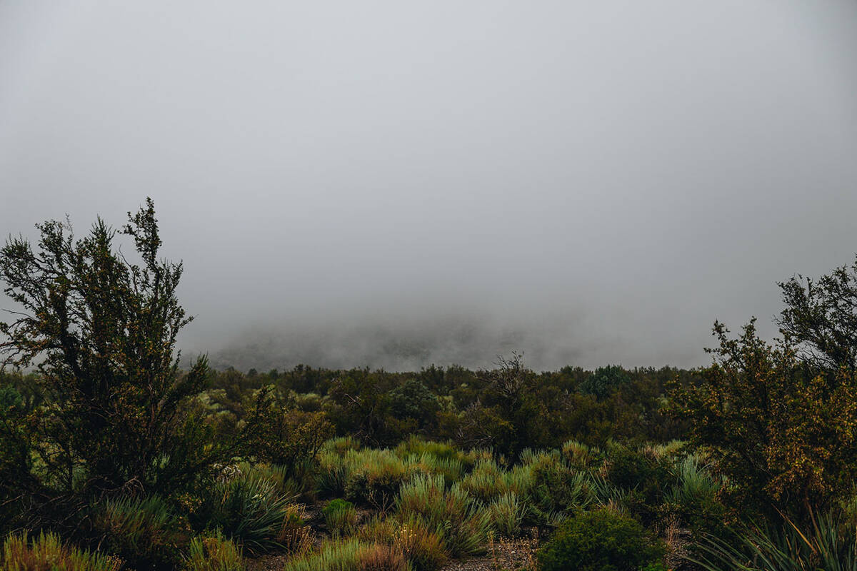 Mount Charleston is thick with fog during storms from Hurricane Hilary on Sunday, Aug. 20, 2023 ...