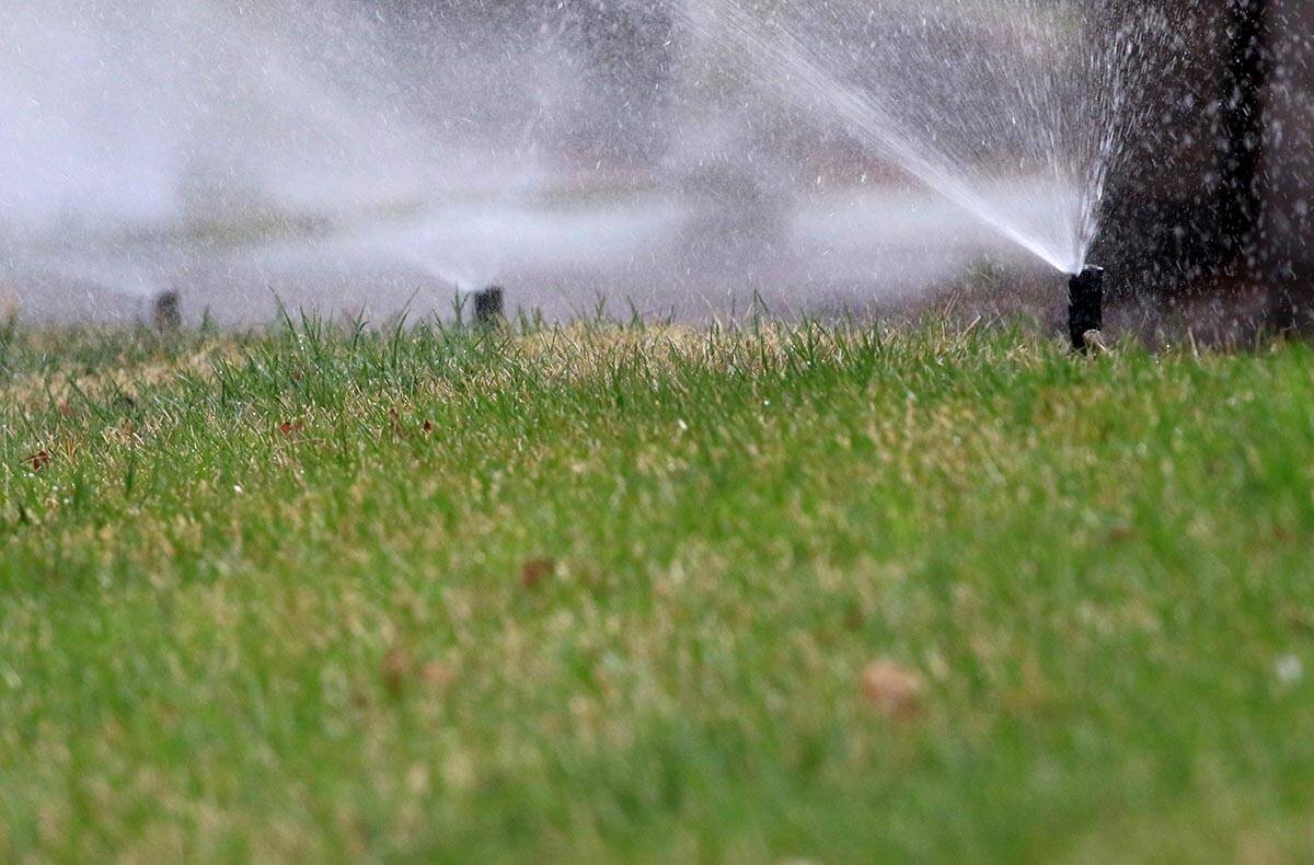 Storms that pushed into the region over the weekend dropped enough water across the Las Vegas V ...