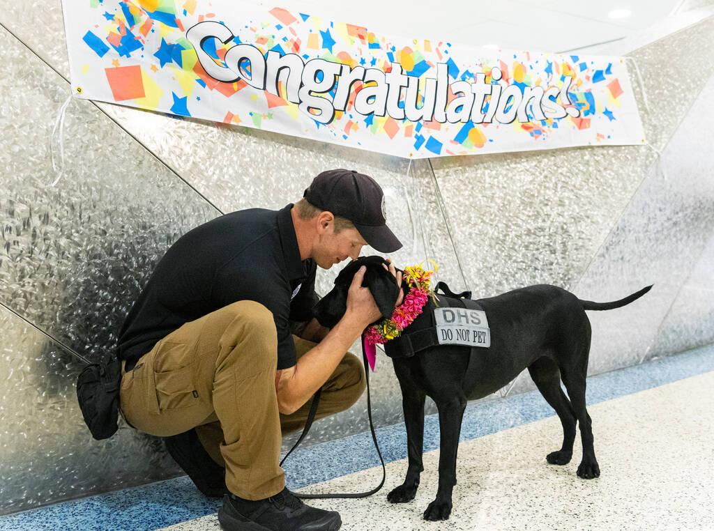 Dina, a Transportation Security Administration explosive detection K-9 and the winner of the TS ...