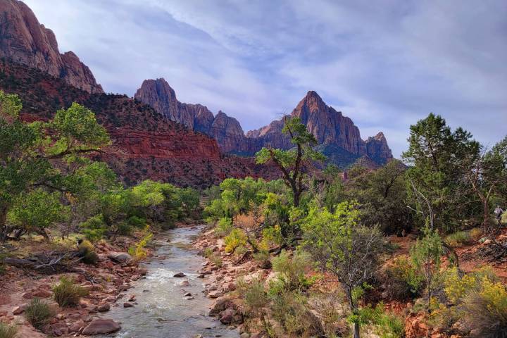 1. Pointed peak of the distant Watchman over the Virgin River at Zion National Park. (Natalie B ...