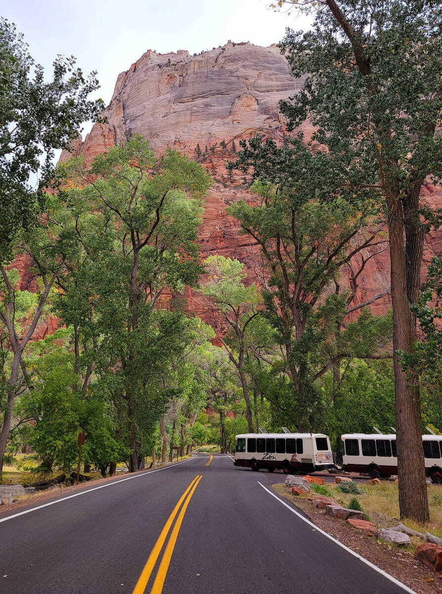 Zion shuttle, which takes park visitors to seven different stops along Zion Canyon Scenic Drive ...