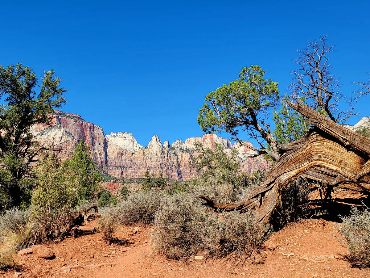 Vista of Zion National Park peaks from the Watchman Trail. (Natalie Burt/Special to the Las Veg ...