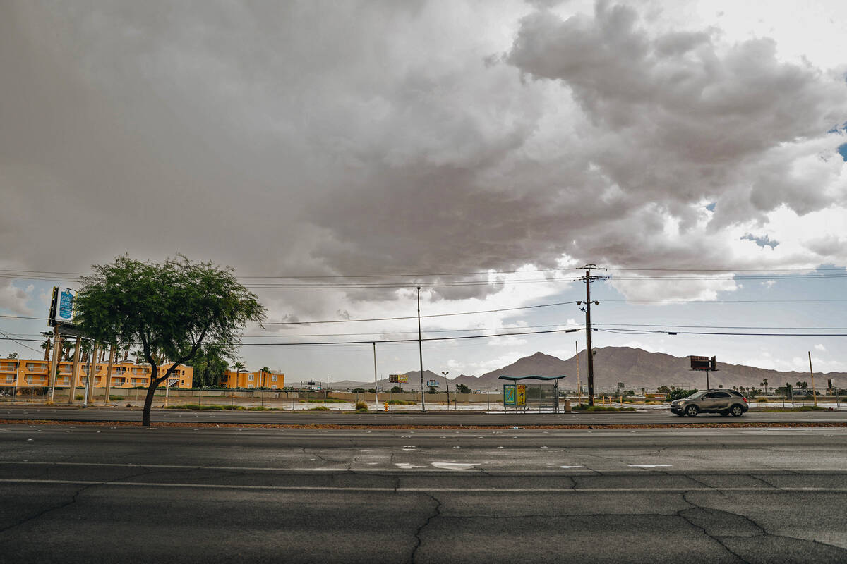 A road verge is seen with a single tree on Boulder Highway on Wednesday, Sept. 20, 2023, in Las ...