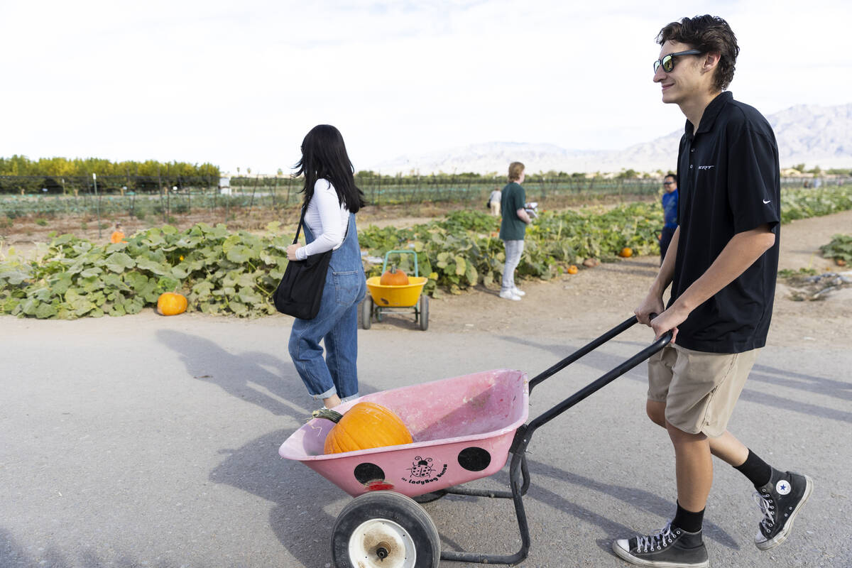 Summer Hall, left, and her husband James, visit Gilcrease Orchard in Las Vegas, Thursday, Oct. ...