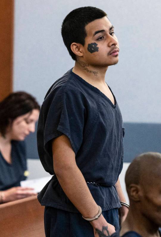 Jesus Ayala, one of two suspects accused of mowing down a retired police chief in a fatal hit-a ...