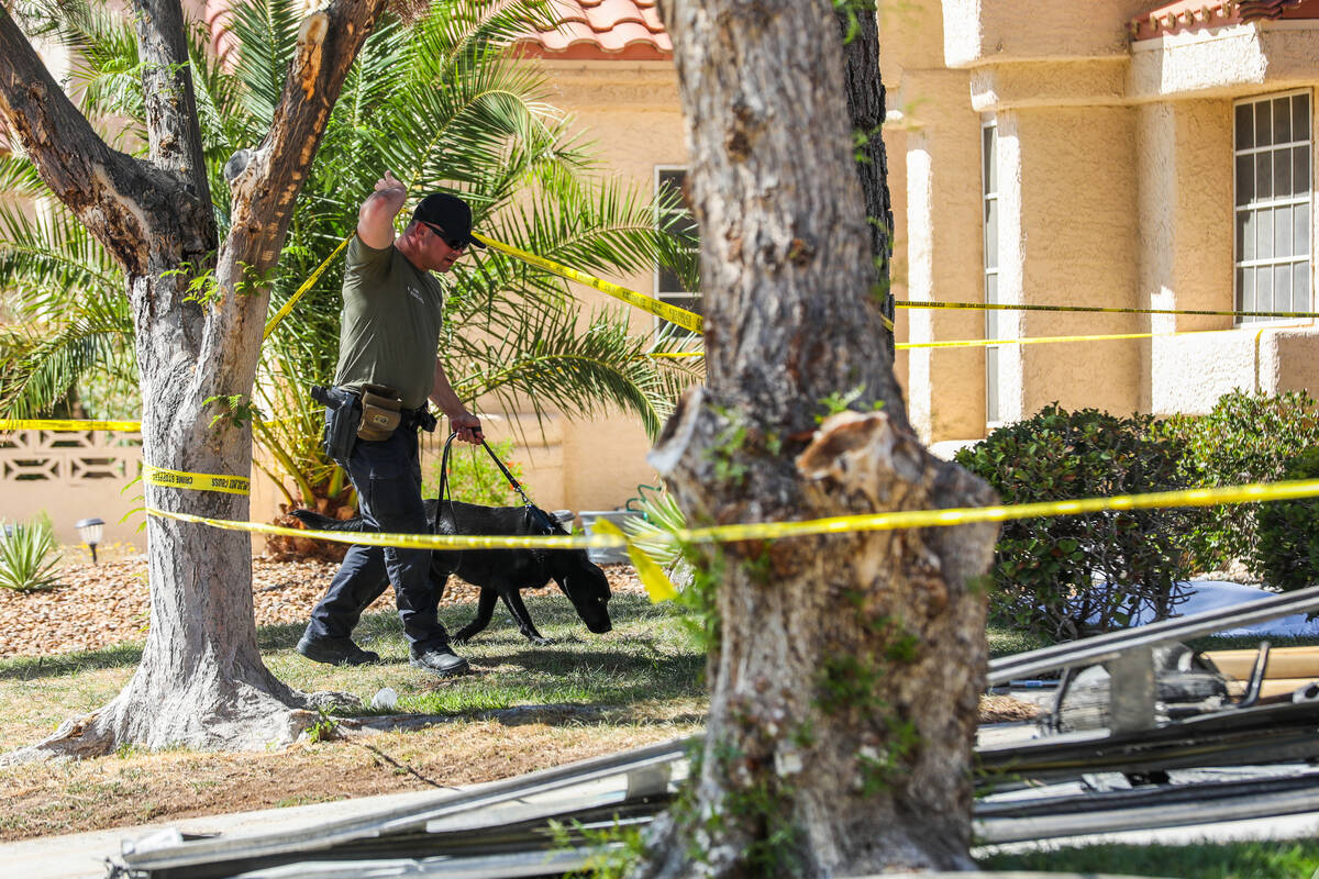 Henderson firefighters approach a home with a dog in the aftermath of a house fire that killed ...