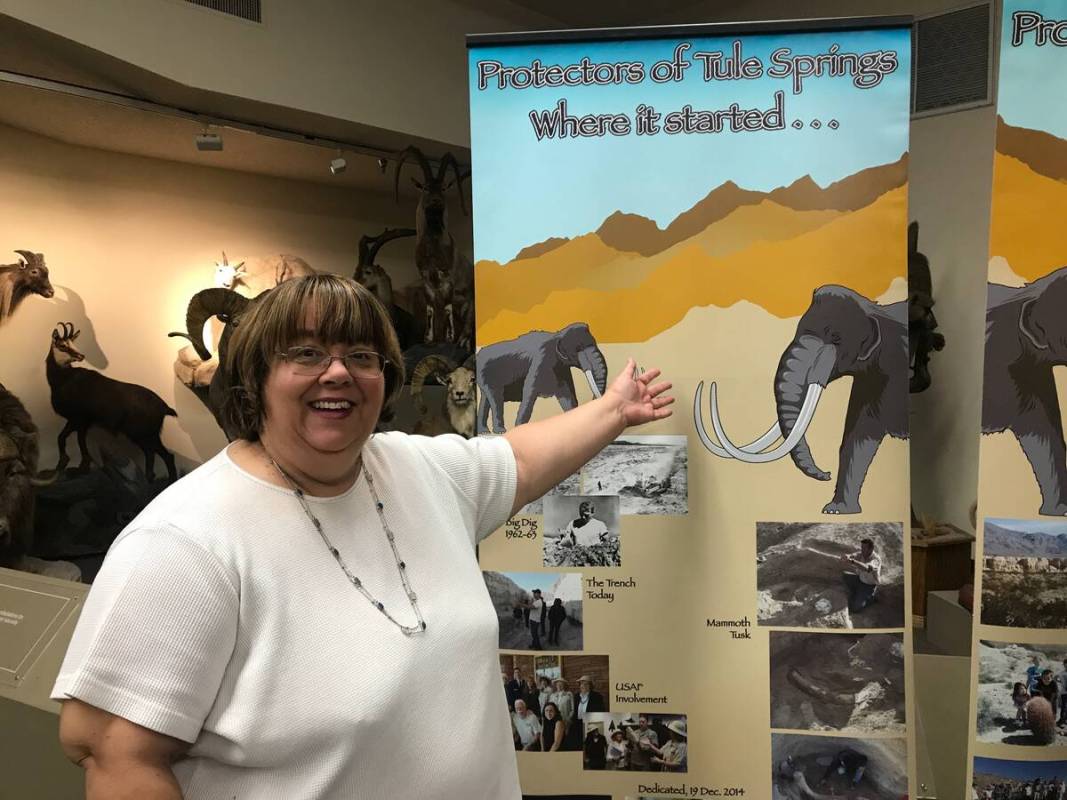 Former North Las Vegas councilwoman Anita Wood poses for a portrait during Fossil Day event on ...