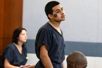 Jesus Ayala, one of two suspects accused of mowing down a retired police chief in a fatal hit-a ...