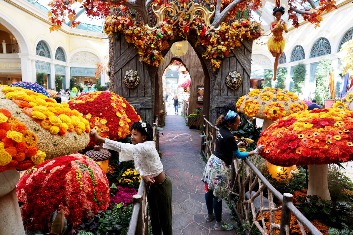 Essence Hornick, left, and her mother Portia Hornick work on the fall display “Enchantme ...