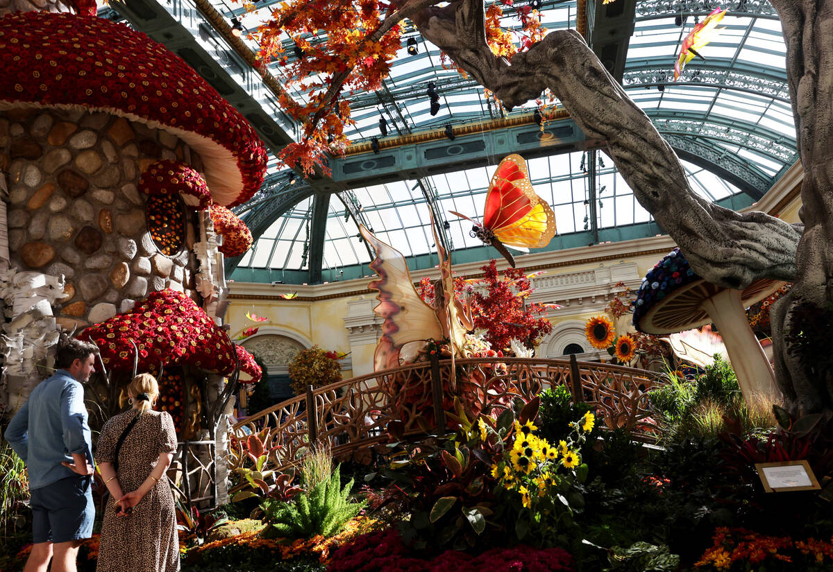 Guests take in the fall display “Enchantment” at Bellagio Conservatory & Bota ...