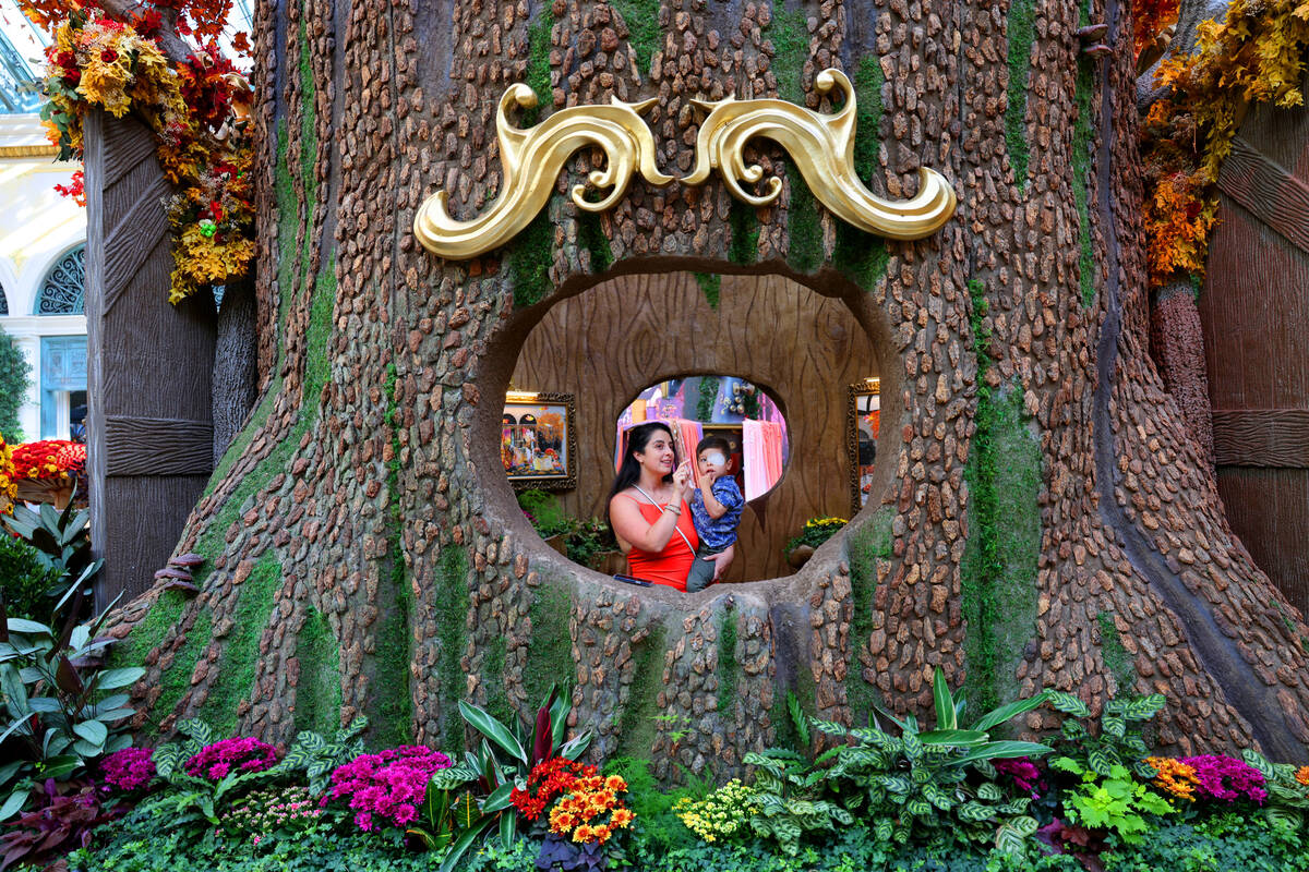 Salome Aguilar and her son Cristiano Aguilar, 3, of Denver take in the fall display “Enc ...