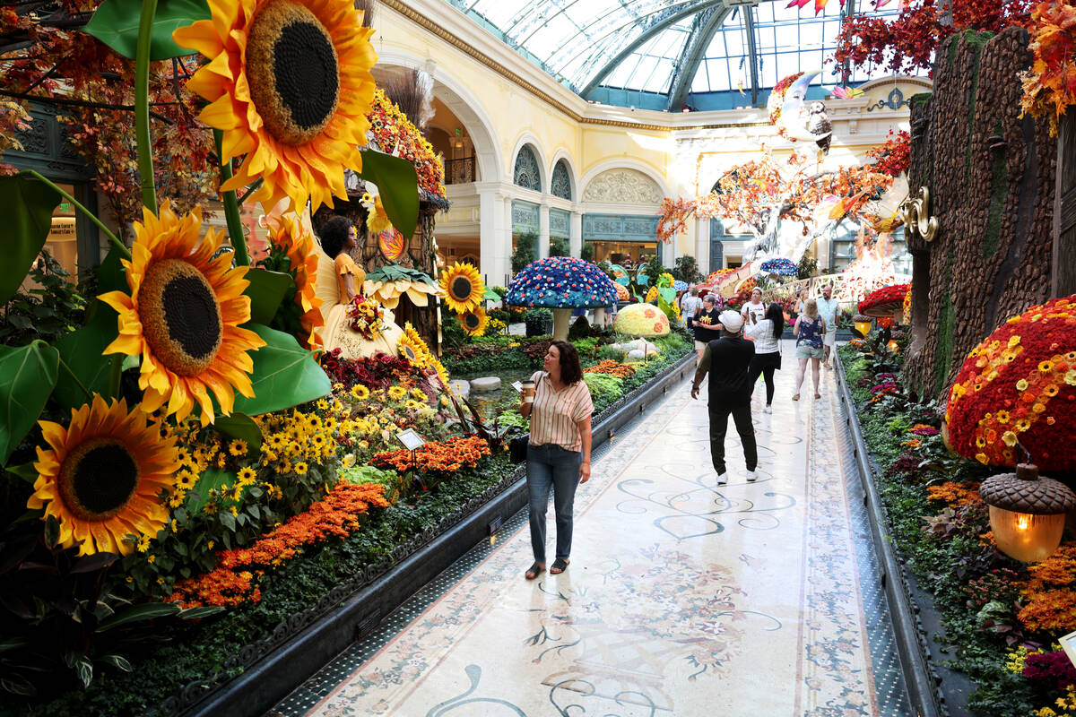 Guests take in the fall display “Enchantment” at Bellagio Conservatory & Bota ...