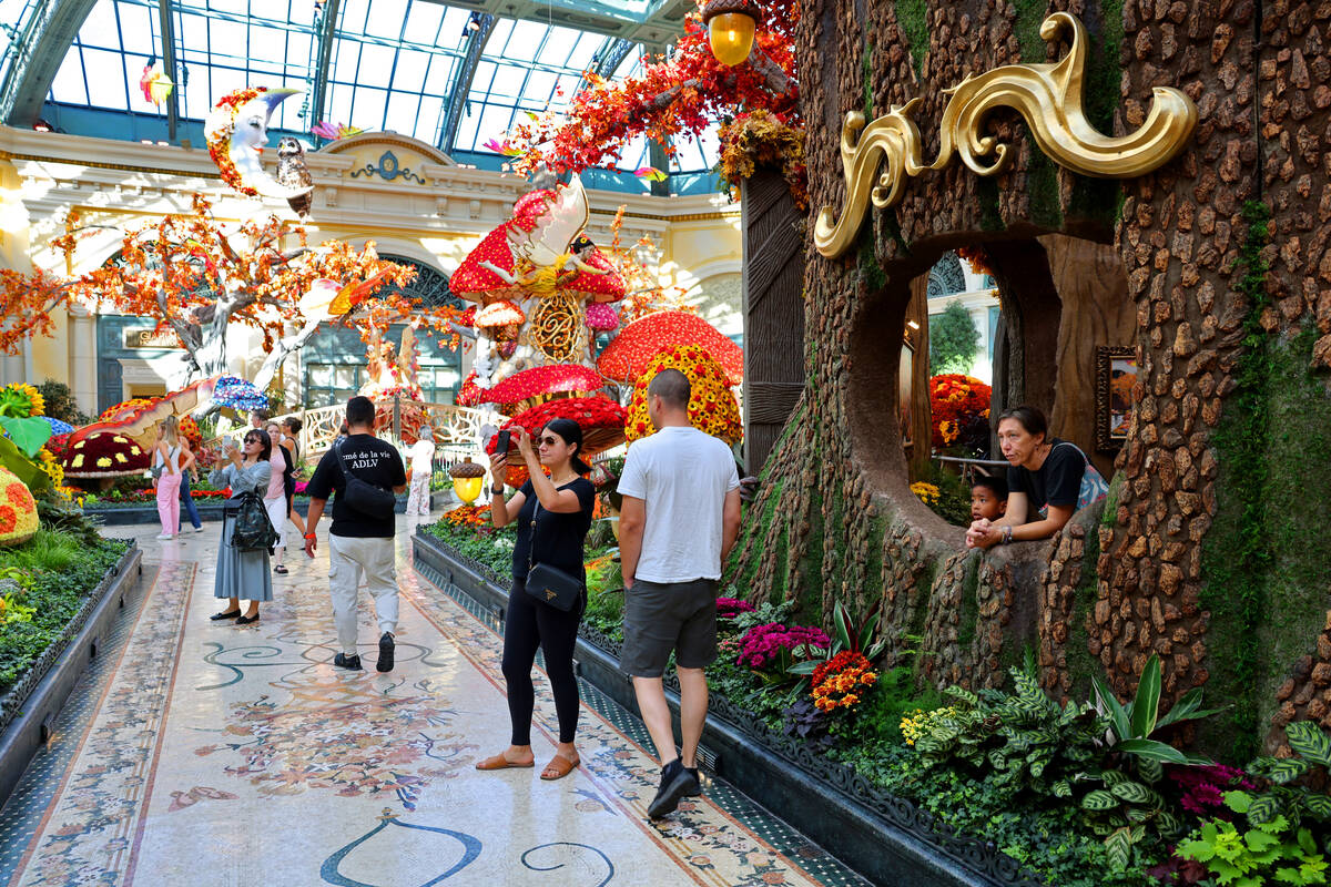 Toni Mizerek and Elijah Mizerek, 6, right, take in the fall display “Enchantment” ...