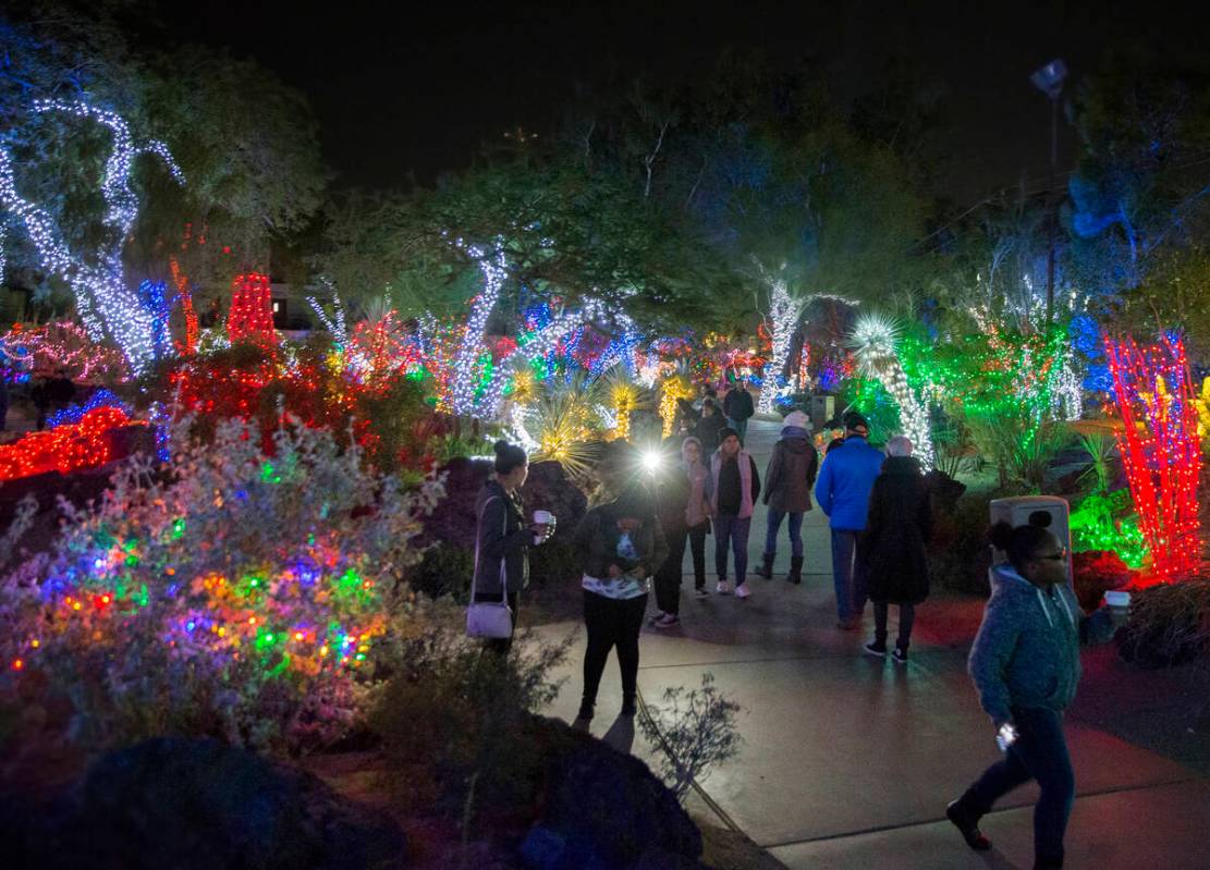 Holiday goers enjoy the lights at Ethel M Chocolates Botanical Cactus Garden on Monday, Novembe ...