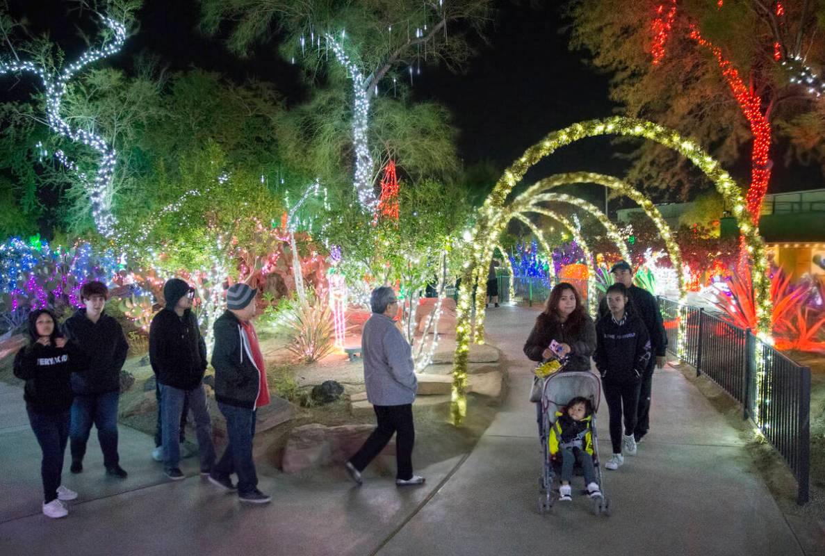 Holiday goers enjoy the lights at Ethel M Chocolates Botanical Cactus Garden on Monday, Novembe ...