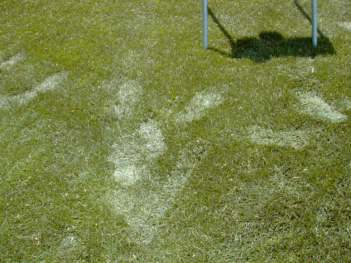 The "footprinting" of grass in a lawn lets you know if it's dry. The grass does not spring back ...