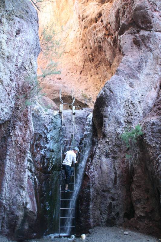 A hiker climbs the ladder to reach the Arizona Hot Springs in Lake Mead National Recreation Are ...