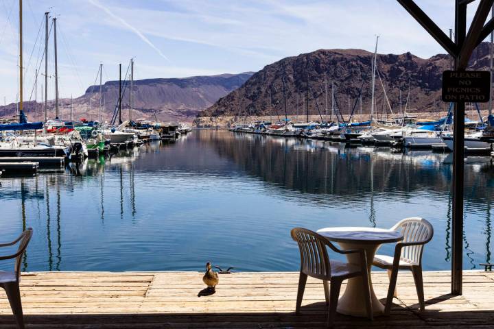 Boats are docked at the Las Vegas Boat Harbor in the Lake Mead National Recreation Area on Mond ...