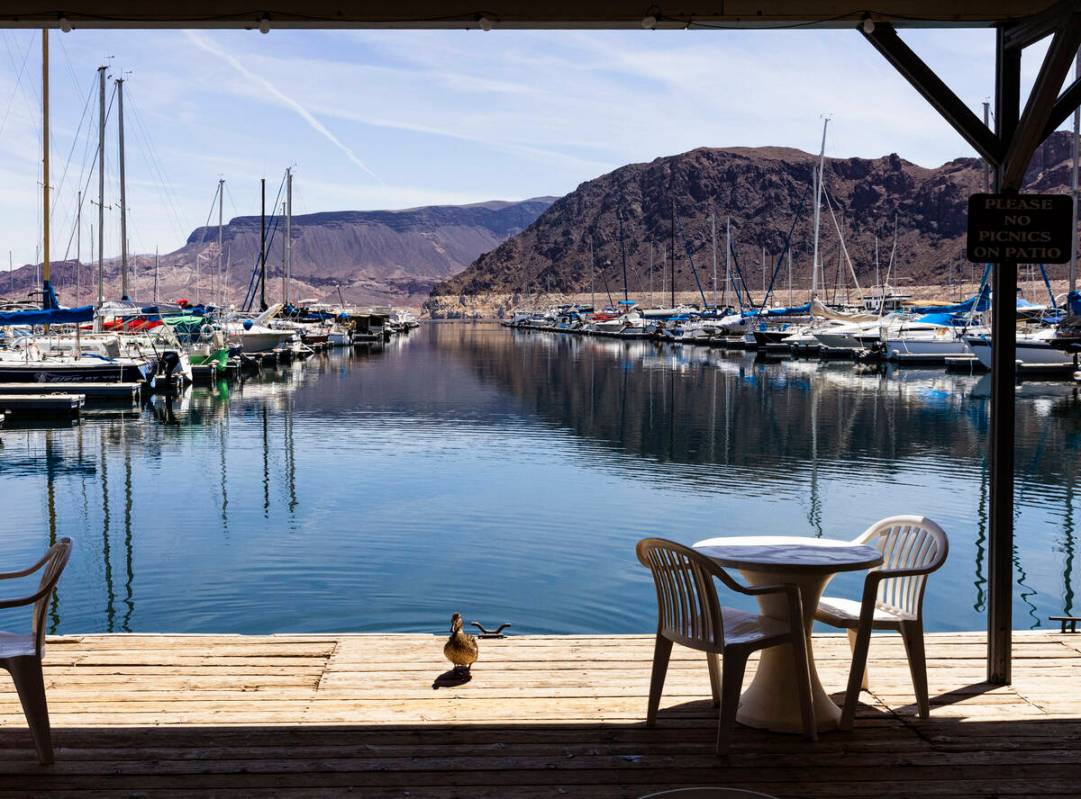 Boats are docked at the Las Vegas Boat Harbor in the Lake Mead National Recreation Area on Mond ...