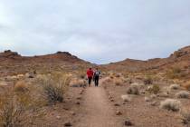 The McCullough Hills Trailhead is a popular starting point for walking Henderson regulars from ...