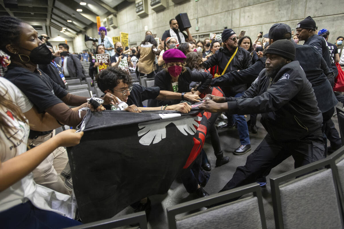 Pro-Palestinian demonstrators wrestle with security personnel as they carry a banner during a p ...