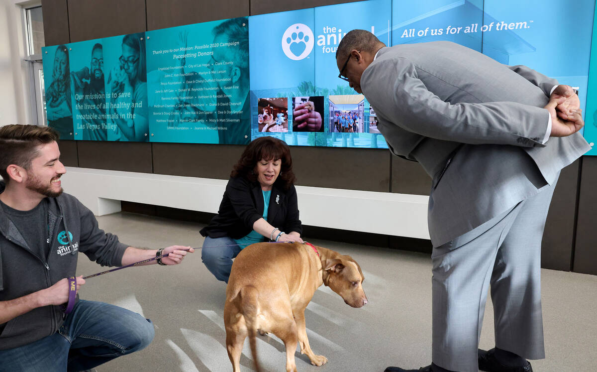 The Animal Foundation Marketing and Communications Coordinator Max Blaustein, from left, CEO Hi ...