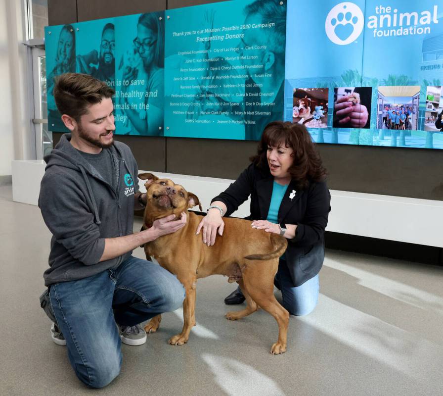 The Animal Foundation Marketing and Communications Coordinator Max Blaustein and CEO Hilarie Gr ...