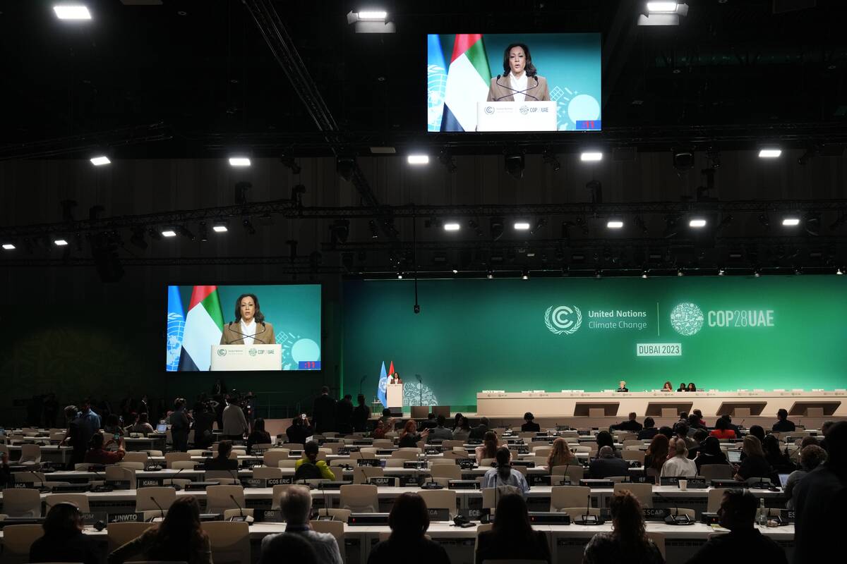 Vice President Kamala Harris speaks during a plenary session at the COP28 U.N. Climate Summit, ...