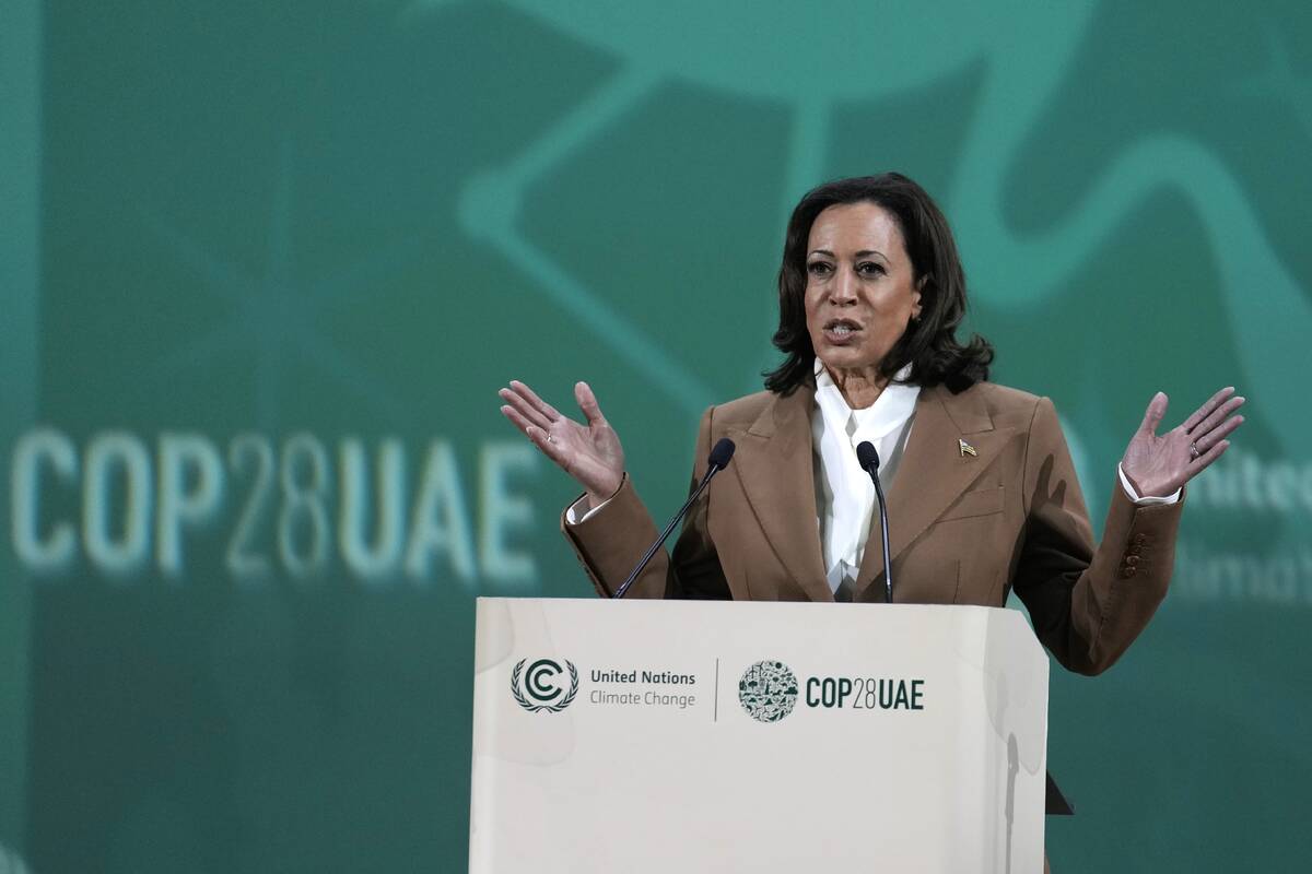 Vice President Kamala Harris speaks at the COP28 U.N. Climate Summit, Saturday, Dec. 2, 2023, i ...