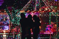 A family looks at Christmas lights at the home of Dale Ryan and Dyanah Musgrave on Sunday, Dec. ...