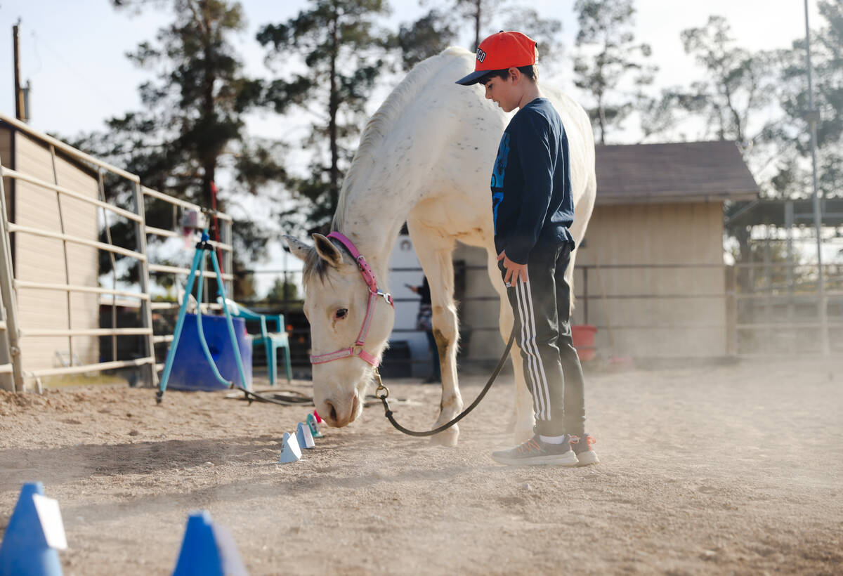 Jude Oles, 10, participates in a vocabulary exercise next to Lagertha at Talisman Farm in Las V ...