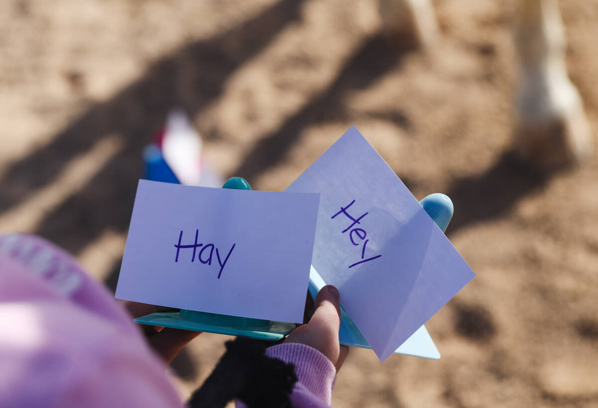 Eliora Oles, 9, participates in a vocabulary exercise next to Lagertha at Talisman Farm in Las ...