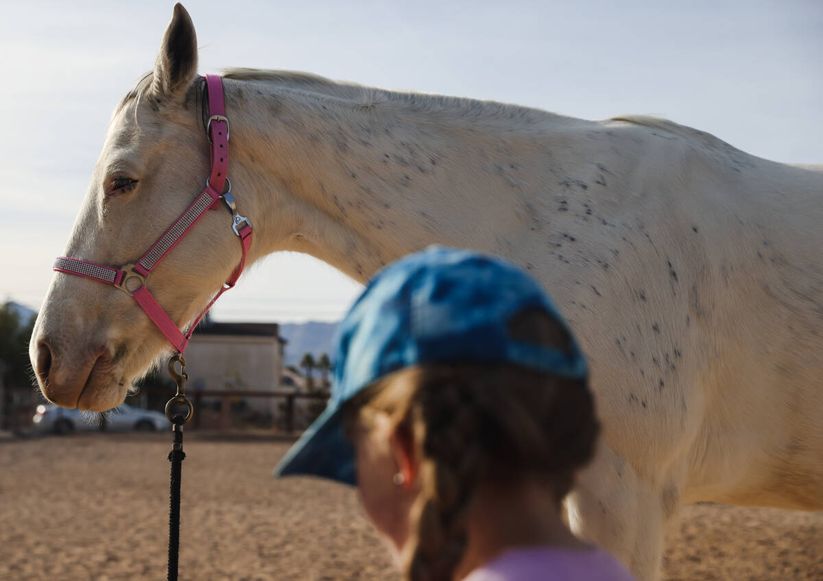 Eliora Oles, 9, reads to Lagertha at Talisman Farm in Las Vegas, Sunday, Dec. 10, 2023. Hillner ...