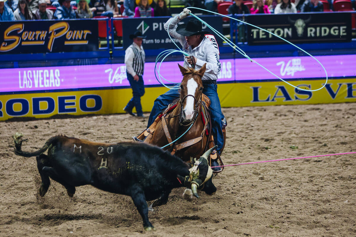 Team roping heeler Cole Curry ropes a calf during the during National Finals Rodeo at the Thoma ...