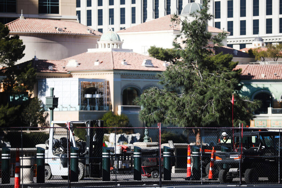 Trees are seen outside the Fountains of Bellagio on the Strip in Las Vegas, Tuesday, Dec. 12, 2 ...
