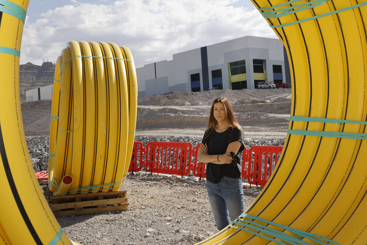 Lisa Cole, Esq., vice president of Land Development Associates, LLC, stands near a building of ...