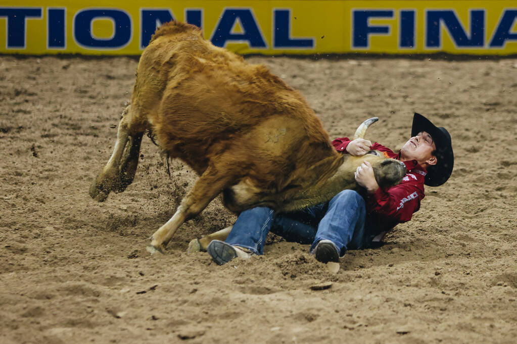 Dirk Tavenner wrestles the steer during the National Finals Rodeo at the Thomas & Mack Cent ...
