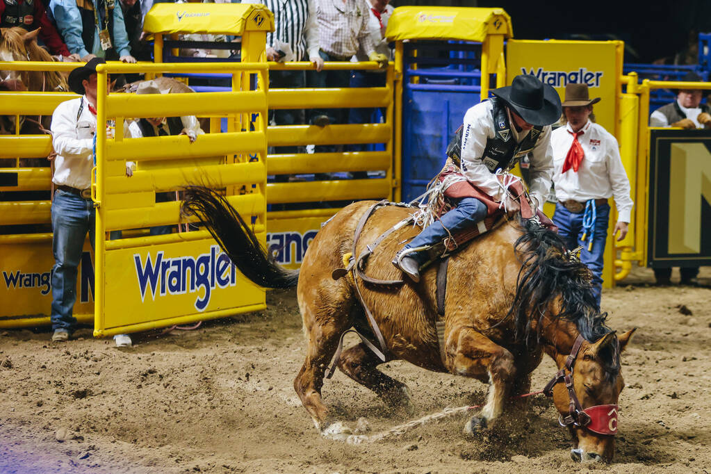 Layton Green stays on the horse as it gets up after a fall during the saddle bronc portion of t ...