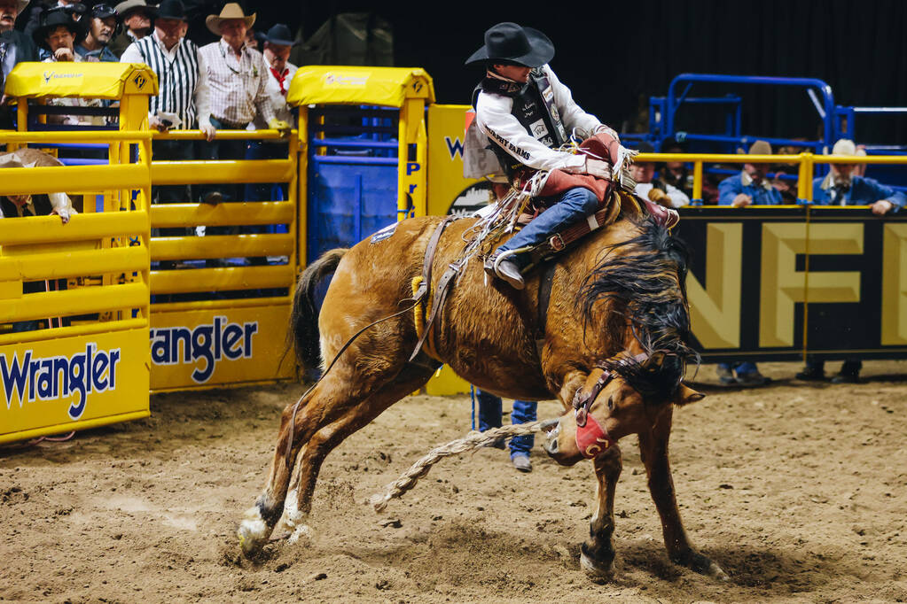 Layton Green stays on the horse as it gets up after a fall during the saddle bronc portion of t ...