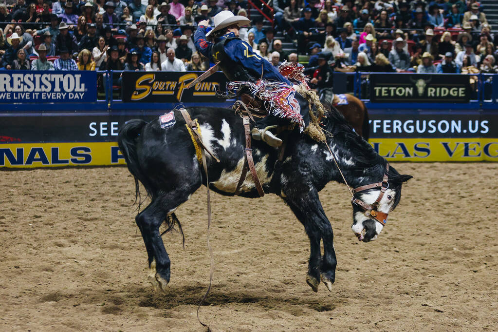 Lefty Holman gets bucked on the horse during the National Finals Rodeo at the Thomas & Mack ...