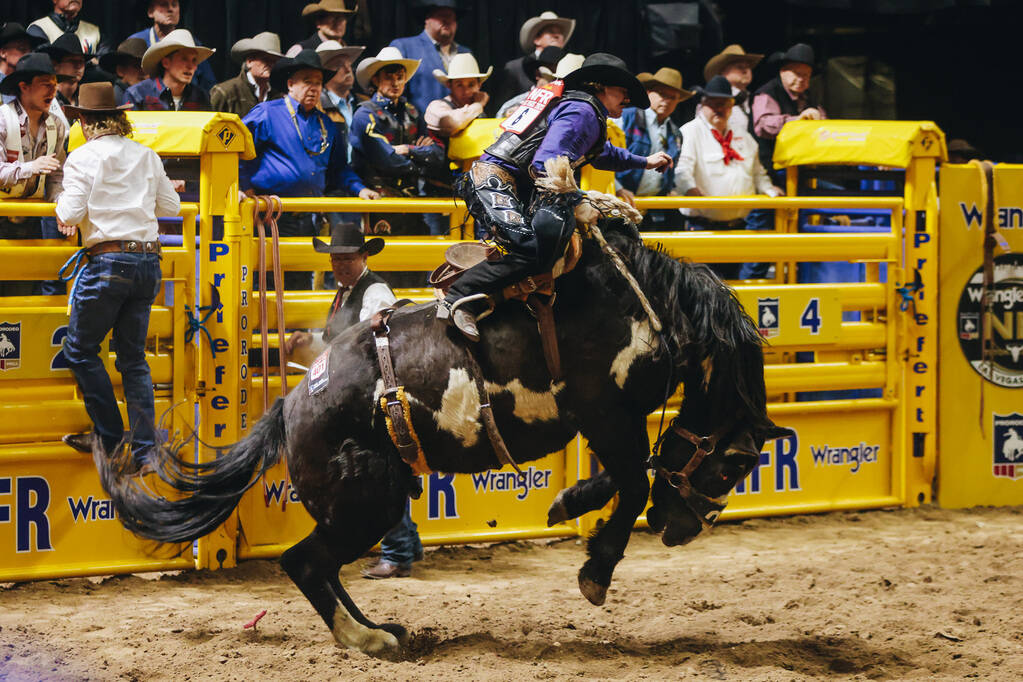 Sage Newman gets bucked during the saddle bronc portion of the National Finals Rodeo at the Tho ...