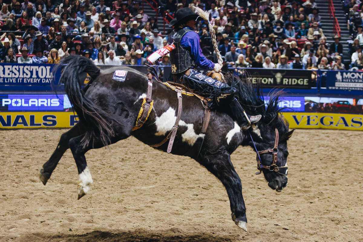 Sage Newman gets bucked during the saddle bronc portion of the National Finals Rodeo at the Tho ...
