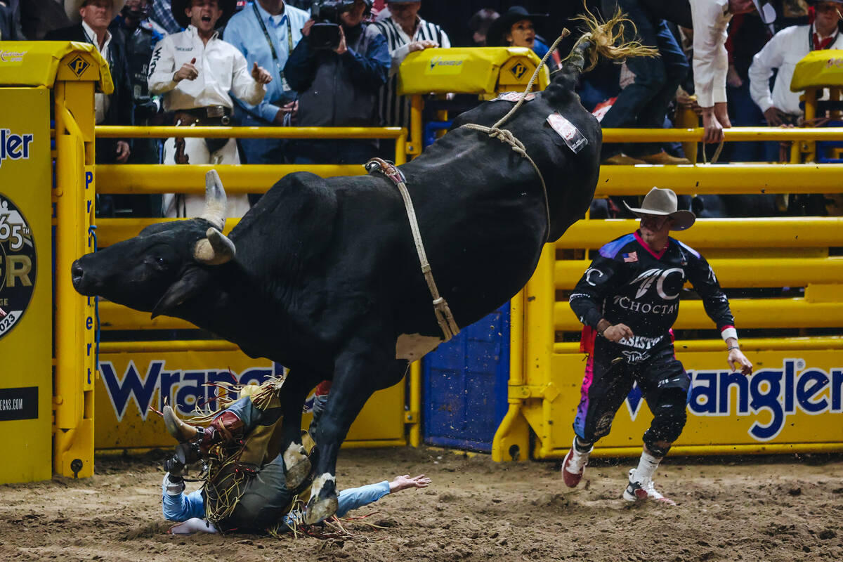 Creek Young falls off of the bull during the National Finals Rodeo at the Thomas & Mack Cen ...