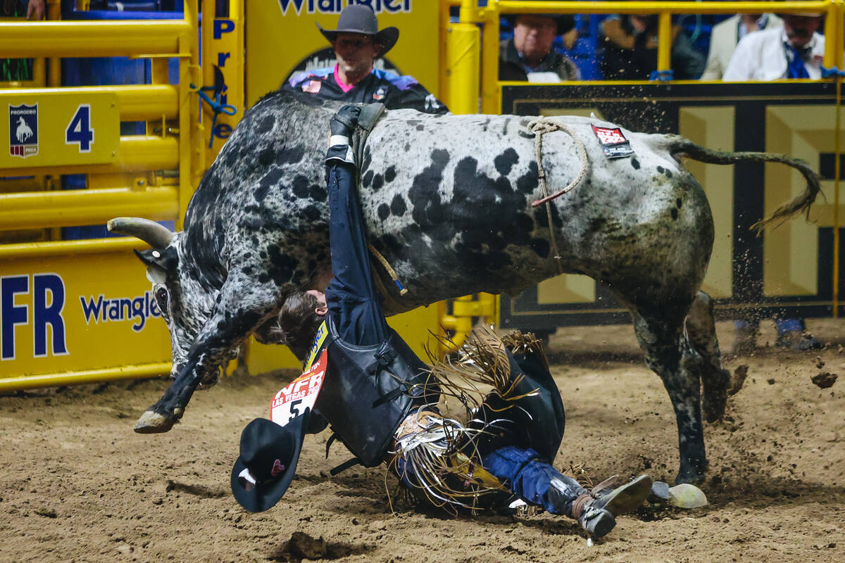 Ky Hamilton falls off of the bull during the National Finals Rodeo at the Thomas & Mack Cen ...