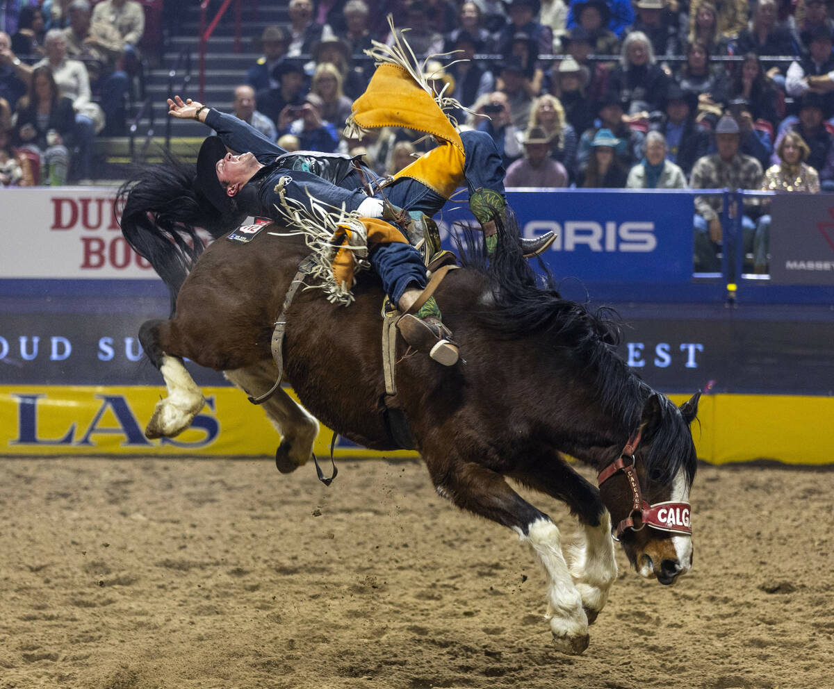 Richmond Champion rides Yipee Kibitz in Bareback Riding during the final day action of the NFR ...