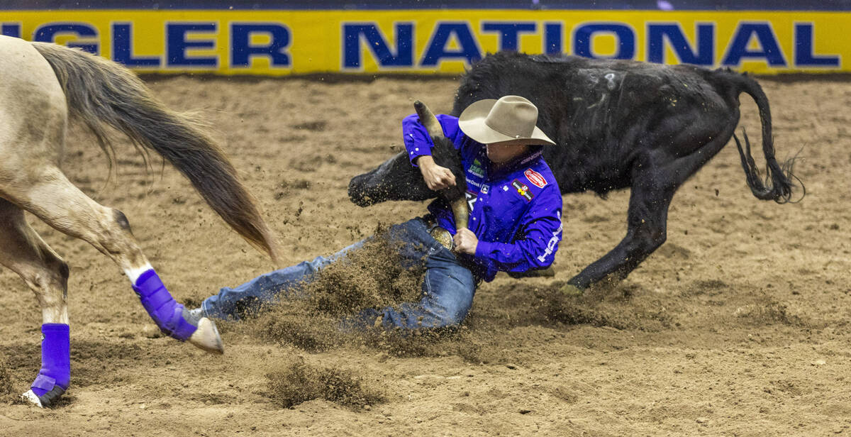 Tyler Waguespack lands atop his steer in Steer Wrestling during the final day action of the NFR ...