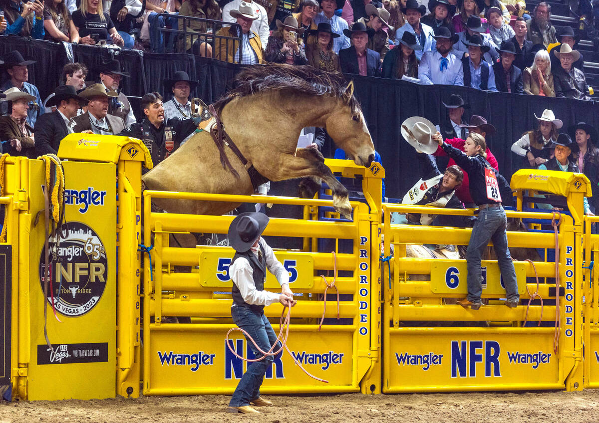Straight Ringer attempts to leave the chute early in Bareback Riding during the final day actio ...